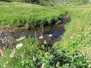 Da Ca San Marco al PASSO-LAGO di VERROBBIO ad anello salendo dall'ALTA VIA MERCATORUM -1lu25  - FOTOGALLERY